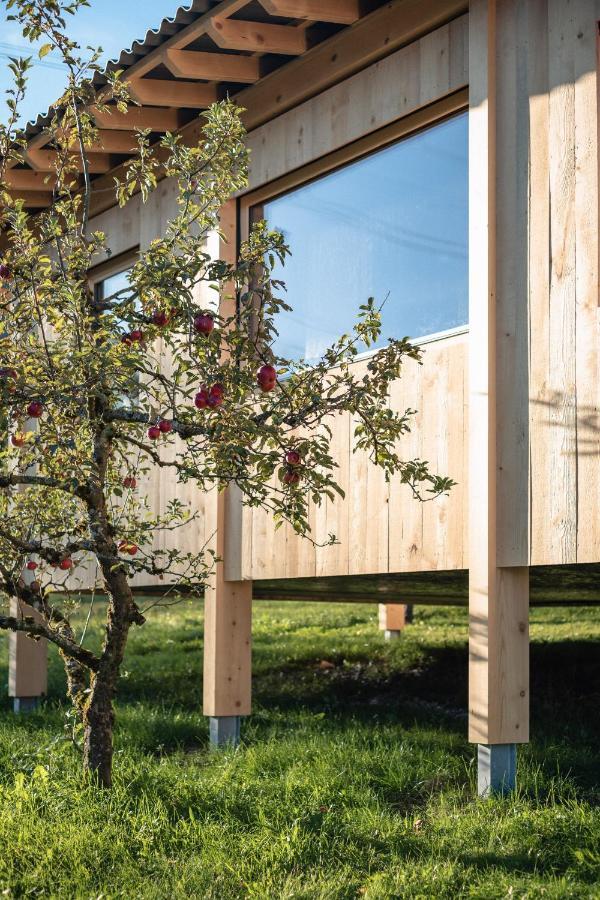 Villa Pinjola Vandans Esterno foto